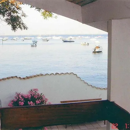 Clair Matin *