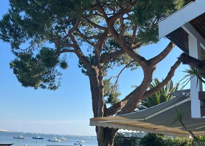 Clair Matin Lege-Cap-Ferret